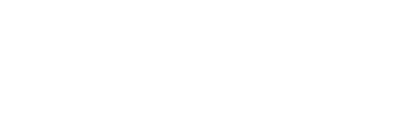 Sagi