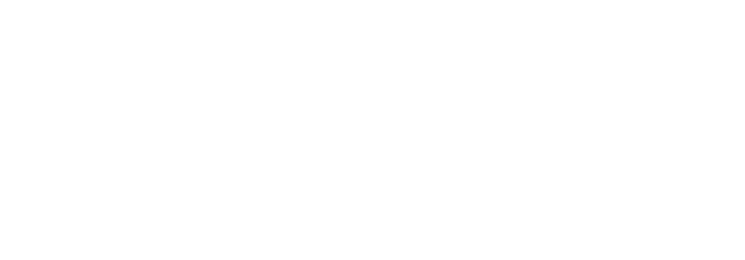 ALTYN ORDA
